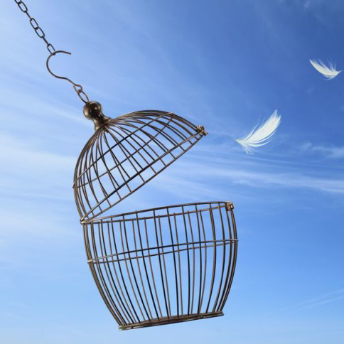 (20C)-Ich-meine-Dich!